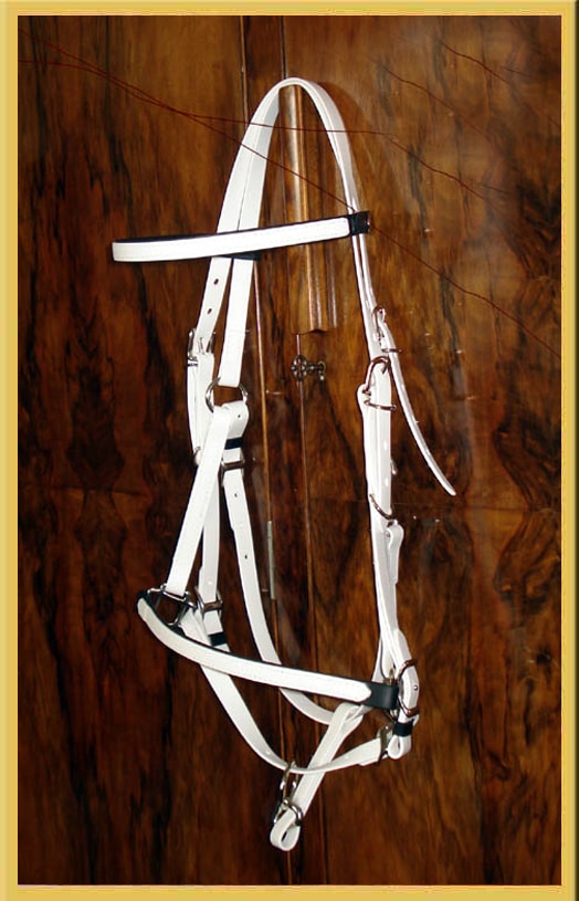 Two Part Bridle - Bespoke-356