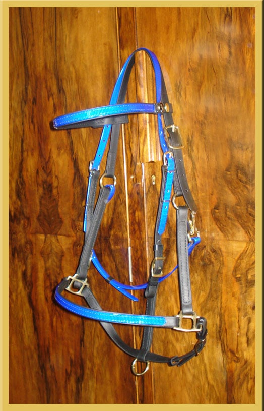 Two Part Bridle - Bespoke-62