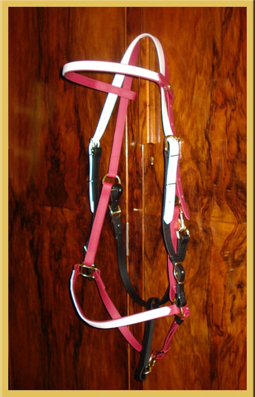 Two Part Bridle - Bespoke-0