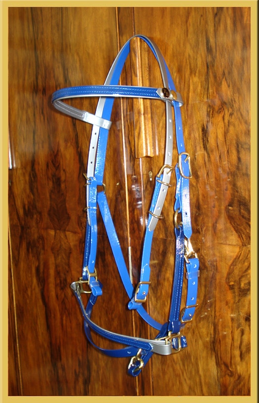 Two Part Bridle - Bespoke-258