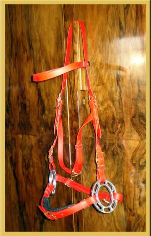 Hackamore Bridle with Orbitless-0