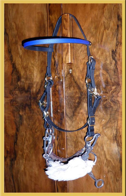 Myler Combination Bridle - Without Nose