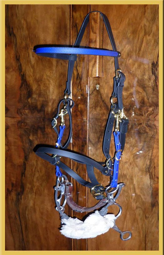 Ultra Light Bridle - With Myler Combination