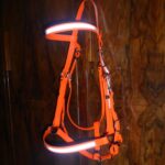 High Visibility - Classic Bridle-0