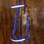 High Visibility - Two Part Bridle-2003