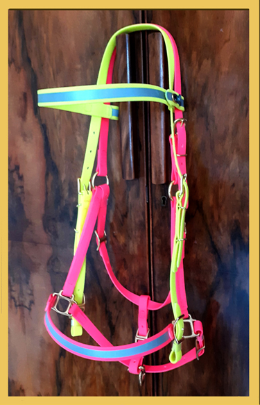 Two Part Bridle - Hi Vis Multicolour